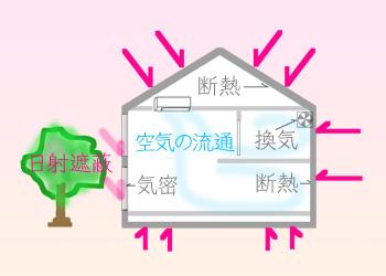 アーキシップス京都　竹林風洞の全館空調と日射遮蔽